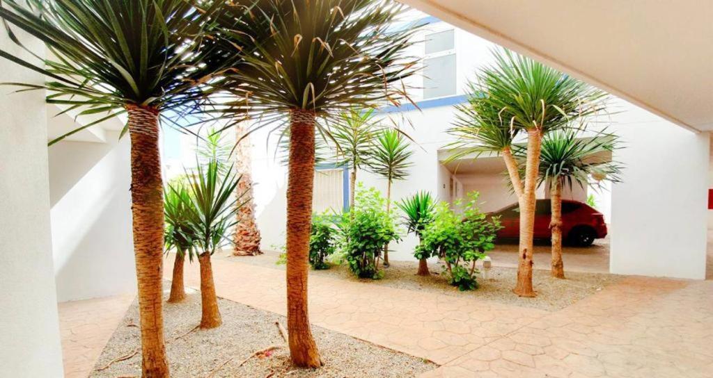 Apartment With Sea Views In Las Terrazas/Playa Flamenca Dehesa de Campoamor  외부 사진