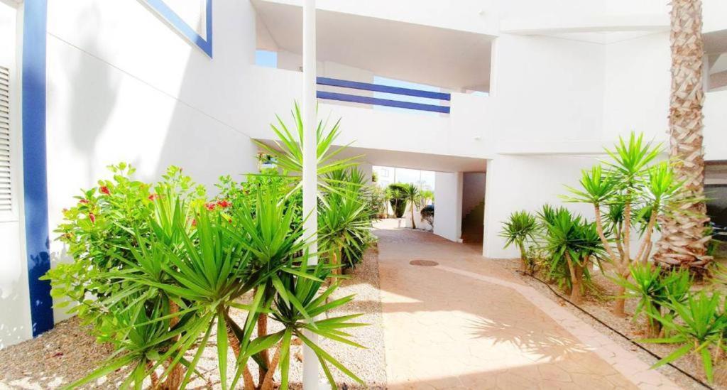 Apartment With Sea Views In Las Terrazas/Playa Flamenca Dehesa de Campoamor  외부 사진